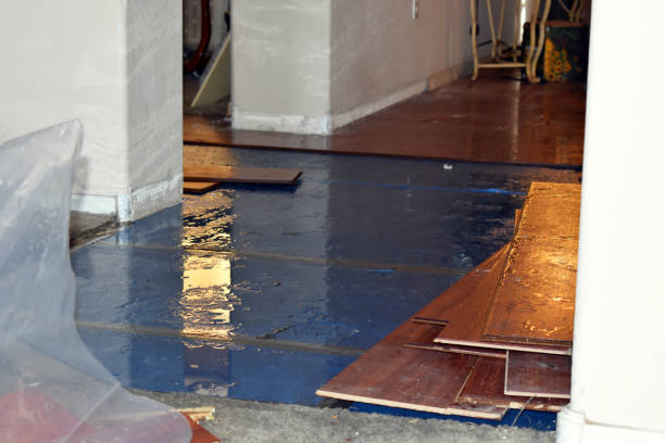 Professional Water Damage Restoration technician working in Collinsville, TX